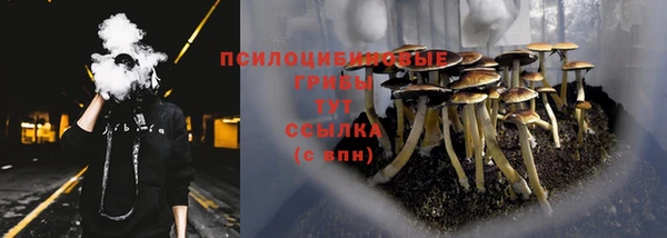 бутират Горно-Алтайск