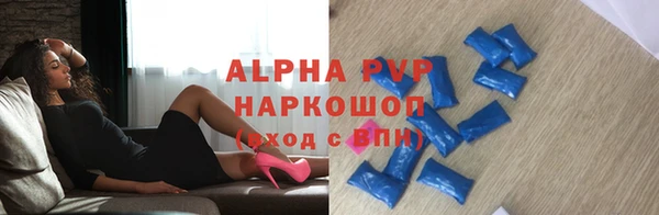 ECSTASY Горняк