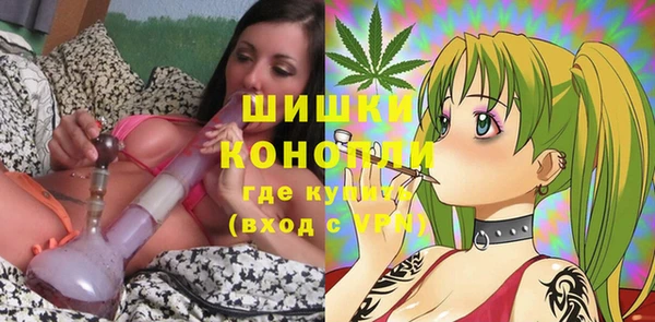 ECSTASY Горняк