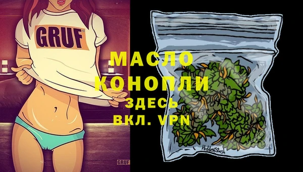 ECSTASY Горняк
