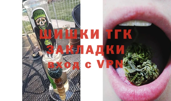 ECSTASY Горняк