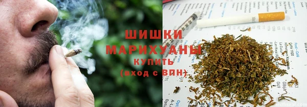 ECSTASY Горняк