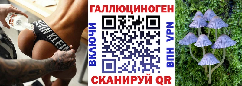 Галлюциногенные грибы GOLDEN TEACHER  Купить закладки  Устюжна 